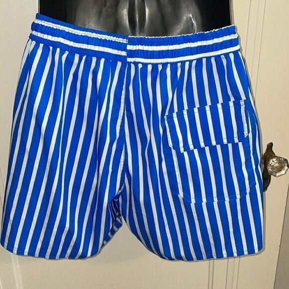 ChArmkpR blue & white striped swim trunks - Picture 5 of 8